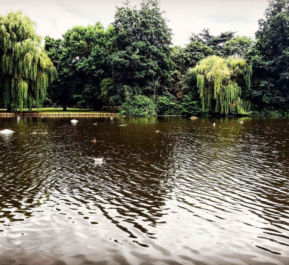 A Spicer Sons Funeral Directors